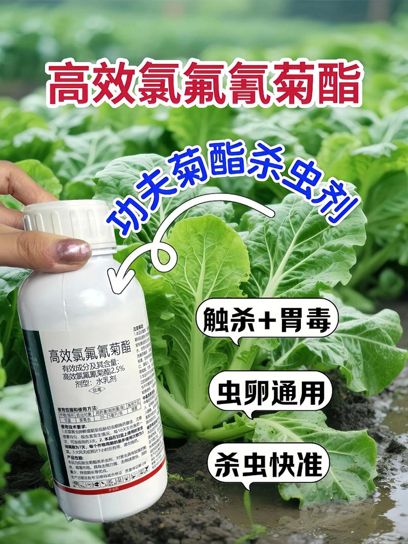 济宁代生中心:农药对供卵代生妈妈的危害